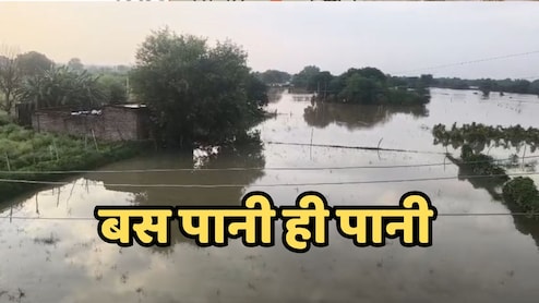 MP Flood: भारी बारिश और बाढ़ से अन्नदाता हुए बेहाल, बारिश ने छीना खेत, छत और चैन