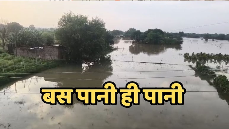 MP Flood: भारी बारिश और बाढ़ से अन्नदाता हुए बेहाल, बारिश ने छीना खेत, छत और चैन MP Flood: भारी बारिश और बाढ़ से अन्नदाता हुए बेहाल, बारिश ने छीना खेत, छत और चैन