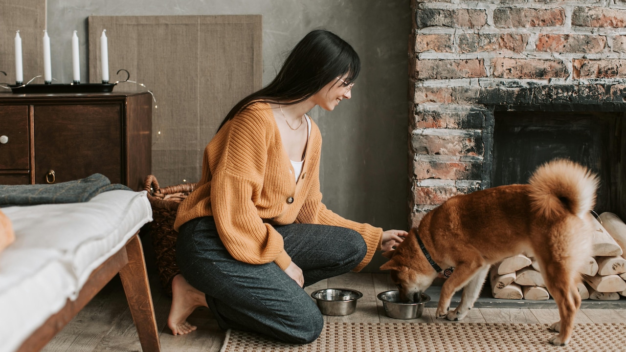 Consider your dog's size, snout shape, and eating style before picking a right slow feeder bowl
