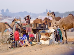 Pushkar Fair 2025: विश्व प्रसिद्ध पुष्कर पशु मेले के तारीखों की हुई घोषणा, देश-विदेश से आते हैं लाखों पर्यटक Pushkar Fair 2025: विश्व प्रसिद्ध पुष्कर पशु मेले के तारीखों की हुई घोषणा, देश-विदेश से आते हैं लाखों पर्यटक