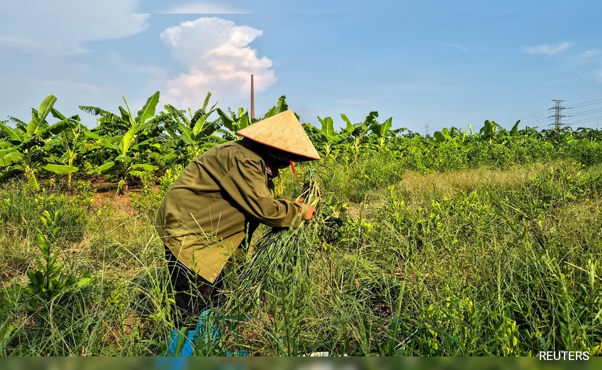 Hung Yen виетнамският фермер Нгуен Ти Хуонг е спал лошо