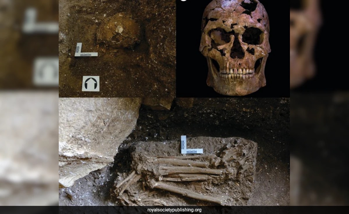 12,000-Year-Old Skeleton Reveals Death Linked To Rare Quartz-Tipped Weapon