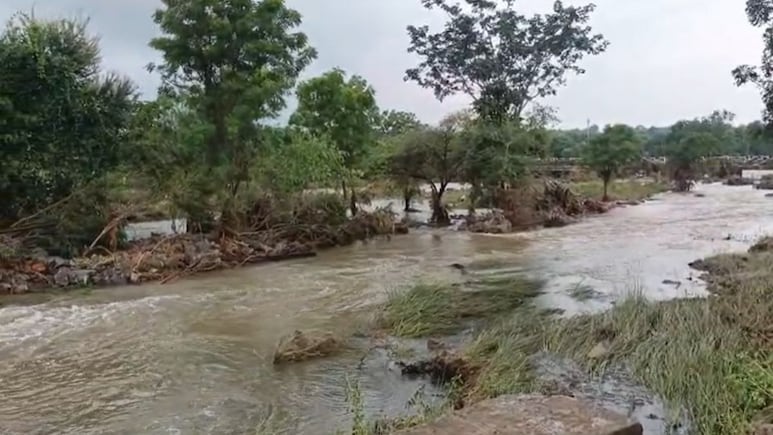 Latur Rain: लातूरमध्ये पावसाचे तांडव!  66 मार्ग वाहतुकीसाठी बंद; शेतीसह पशुधनाचे नुकसान, बळीराजा संकटात