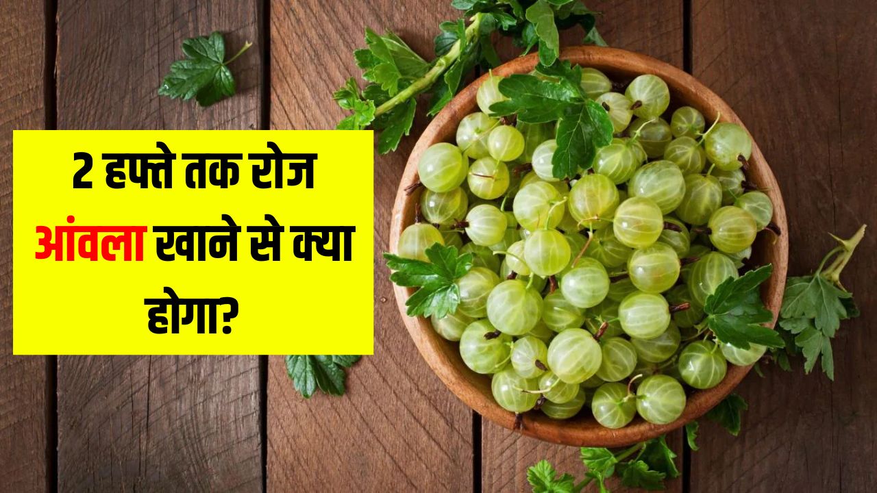 2 हफ्ते तक रोज आंवला खाने से क्या होगा? न्यूट्रिशनिस्ट सोनिया नारंग ने बताया एक साथ मिलेंगे 6 जबरदस्त फायदे