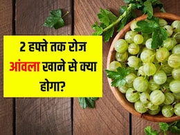 रोज़ सुबह आंवला खाने से बढ़ेगी इम्यूनिटी, मिलेंगे कई फायदे, इन बातों का रखें ध्यान | Roj Amla Khane ke Fayde रोज़ सुबह आंवला खाने से बढ़ेगी इम्यूनिटी, मिलेंगे कई फायदे, इन बातों का रखें ध्यान | Roj Amla Khane ke Fayde