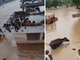 सवाई माधोपुर में भारी बारिश से हाहाकार, नेशनल हाईवे पर आवाजाही बंद; त्रिनेत्र गणेश मंदिर जाने पर भी रोक सवाई माधोपुर में भारी बारिश से हाहाकार, नेशनल हाईवे पर आवाजाही बंद; त्रिनेत्र गणेश मंदिर जाने पर भी रोक