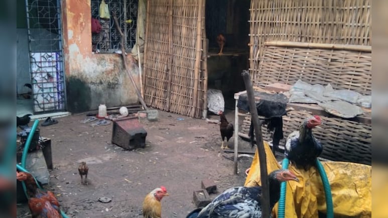 Bhandara News: डॉक्टरांचा अजब कारनामा! आरोग्य केंद्रात चक्क कोंबड्या पाळल्या, घाण, दुर्गंधीने पेशंट त्रस्त Bhandara News: डॉक्टरांचा अजब कारनामा! आरोग्य केंद्रात चक्क कोंबड्या पाळल्या, घाण, दुर्गंधीने पेशंट त्रस्त