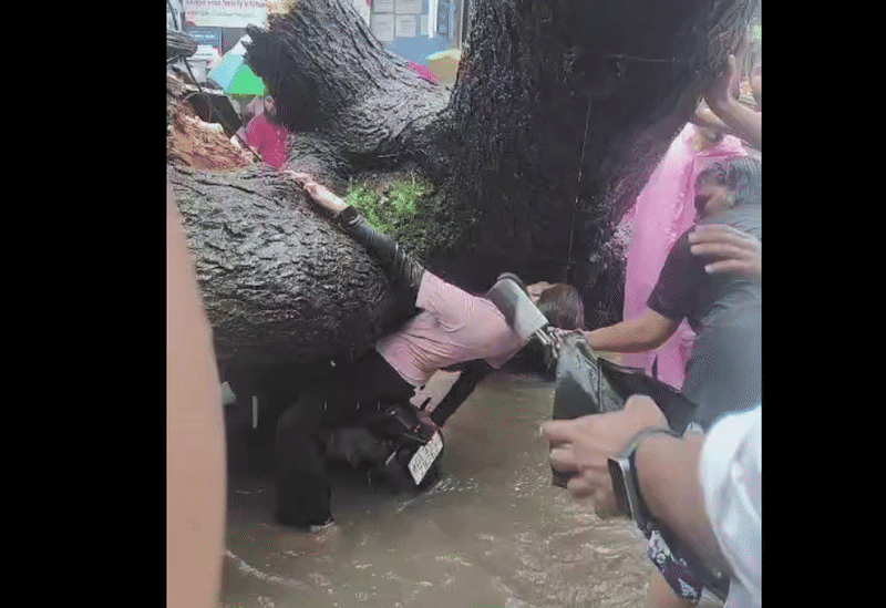 किस्मत कहें या सिस्टम फेल! बाइक पर जा रहे थे बाप-बेटी और गिर गया पेड़, दिल्ली आज दहल गई