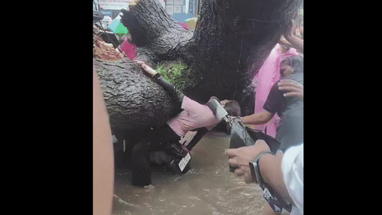 किस्मत कहें या सिस्टम फेल! बाइक पर जा रहे थे बाप-बेटी और गिर गया पेड़, दिल्ली आज दहल गई किस्मत कहें या सिस्टम फेल! बाइक पर जा रहे थे बाप-बेटी और गिर गया पेड़, दिल्ली आज दहल गई