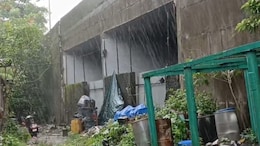 Navi Mumbai : उलवे-बेलापूर ध्रुवतारा जेट्टीजवळ पुलाखाली बेकायदेशीर गोडाऊन; पोलिसांचं दुर्लक्ष