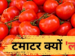 टमाटर के दाम क्‍यों छू रहे आसमान, जानें कब घट सकती है कीमत