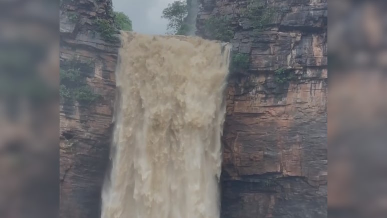 कहीं टूटा बांध तो कहीं वाटर फॉल का दिखा रौद्र रूप... पढ़ें, बिहार में कैसे मुसीबत बनीं उफनती नदियां कहीं टूटा बांध तो कहीं वाटर फॉल का दिखा रौद्र रूप... पढ़ें, बिहार में कैसे मुसीबत बनीं उफनती नदियां
