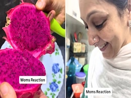 Indian Family's Excitement To Cutting Their First Homegrown Dragon Fruit Wins Hearts Online Indian Family's Excitement To Cutting Their First Homegrown Dragon Fruit Wins Hearts Online
