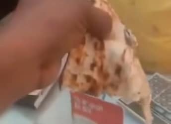 Shocking! Lizard Found Baked Inside Tandoori Roti At Kanpur Dhaba. Watch Viral Video