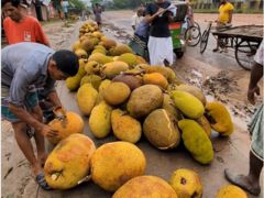 Street Vendor Captured Using Paint On Jackfruit To Hide Black Spot, Angers Internet