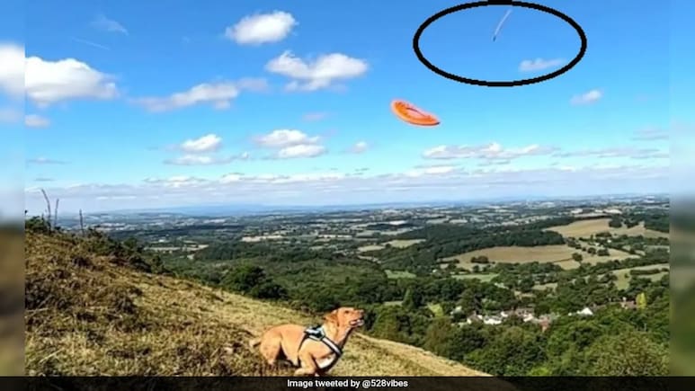"Speed Is Insane": Mysterious Object Zips Through The Sky In UK, Video Ignites Frenzy "Speed Is Insane": Mysterious Object Zips Through The Sky In UK, Video Ignites Frenzy