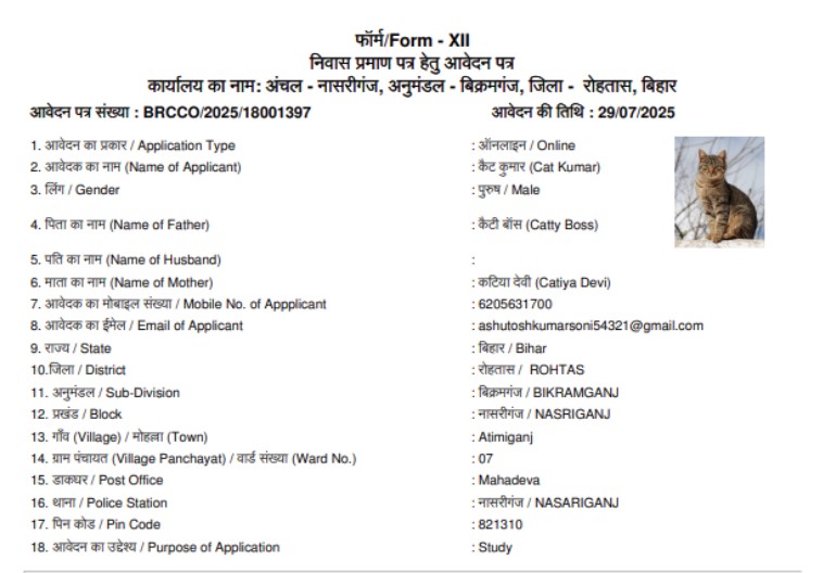 After 'Dog Babu' And 'Donald Trump', 'Cat Kumar' Applies For Bihar Residency