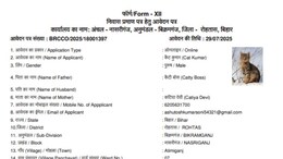 After 'Dog Babu' And 'Donald Trump', 'Cat Kumar' Applies For Bihar Residency