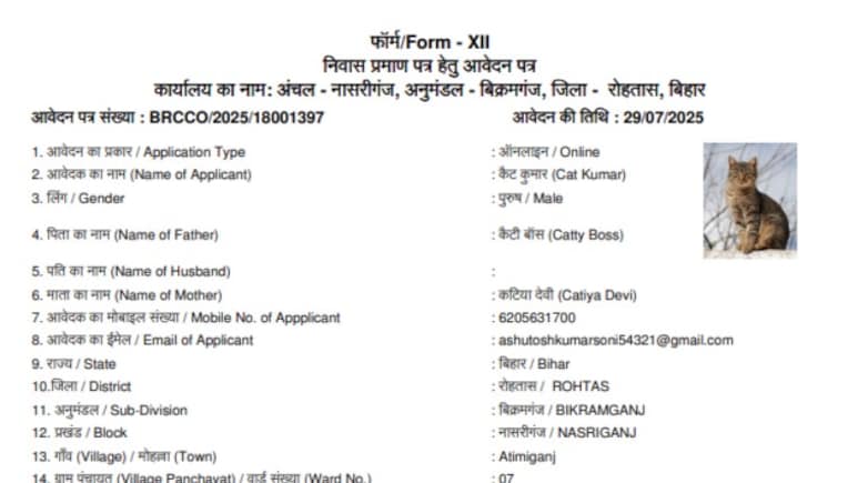 After 'Dog Babu' And 'Donald Trump', 'Cat Kumar' Applies For Bihar Residency