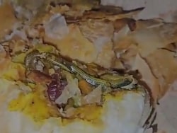 Telangana Woman Finds Snake In Snack, Files Complaint Against Bakery