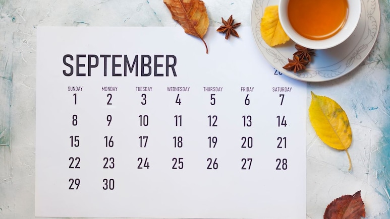 Bank Holidays In September 2025: 30 दिवसांचा महिना 15 दिवस सुट्ट्या; बँका कधी बंद राहणार ? वाचा संपूर्ण यादी