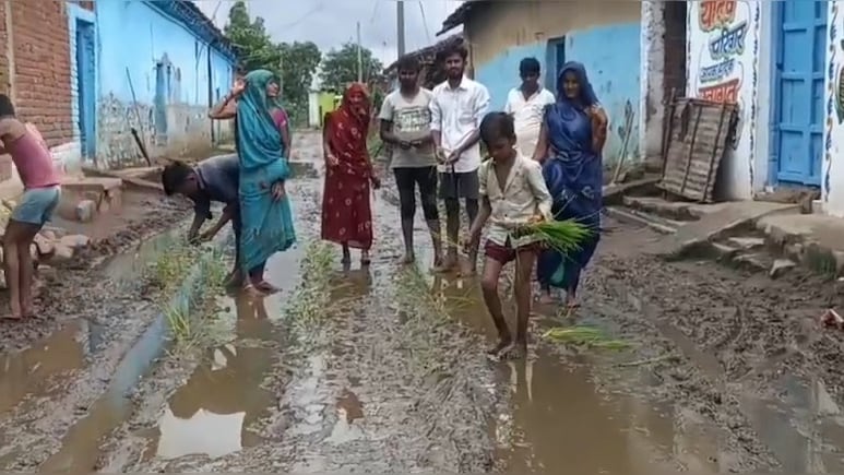 Katni News: सड़क में कीचड़ से परेशान लोगों का अनोखा प्रदर्शन, ग्रामीणों ने की धान की रोपाई, जानें - पूरा मामला Katni News: सड़क में कीचड़ से परेशान लोगों का अनोखा प्रदर्शन, ग्रामीणों ने की धान की रोपाई, जानें - पूरा मामला