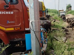 धौलपुर पुलिस की बड़ी कार्रवाई, ट्रक में बूचड़खाने जा रहे 200 पशु पकड़े, 6 तस्कर भी गिरफ्तार धौलपुर पुलिस की बड़ी कार्रवाई, ट्रक में बूचड़खाने जा रहे 200 पशु पकड़े, 6 तस्कर भी गिरफ्तार