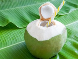 5 Coconut Water Recipes That Actually Make The Heat Bearable