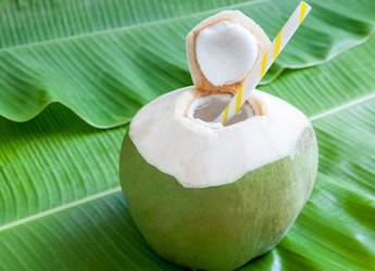 5 Coconut Water Recipes That Actually Make The Heat Bearable