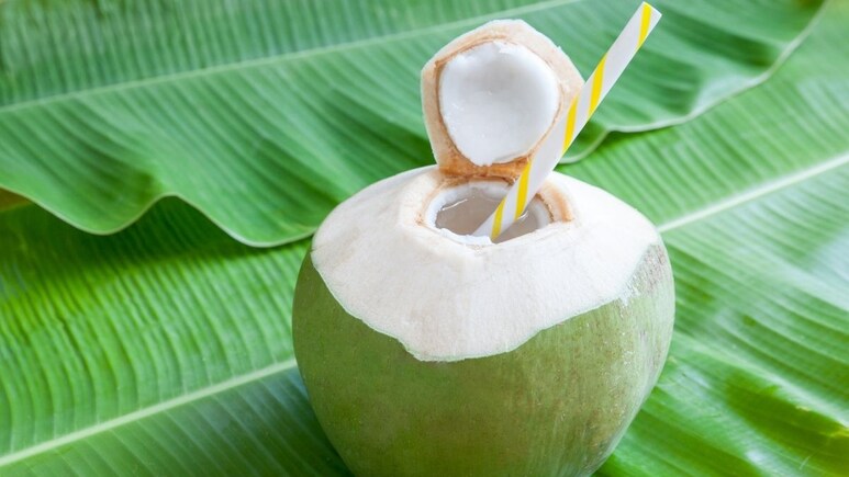 क्या सचमुच नारियल पानी करता है वजन कम? एम्स के डॉक्टर से जानिए सच