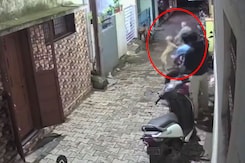 Video: Stray Dog Bites Elderly Man On Face, Locals Say He's Victim No. 14 Video: Stray Dog Bites Elderly Man On Face, Locals Say He's Victim No. 14