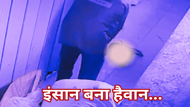 Viral Video: डंडे से 3 पपीज को मारा और बोरे में भरता गया शख्स, रूह कंपा देगा वीडियो Viral Video: डंडे से 3 पपीज को मारा और बोरे में भरता गया शख्स, रूह कंपा देगा वीडियो