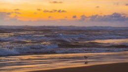 Gokarna Vs Kovalam: Which One Offers A More Peaceful Beach Experience