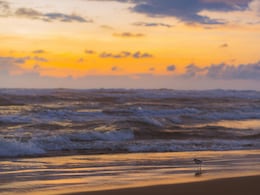 Gokarna Vs Kovalam: Which One Offers A More Peaceful Beach Experience Gokarna Vs Kovalam: Which One Offers A More Peaceful Beach Experience