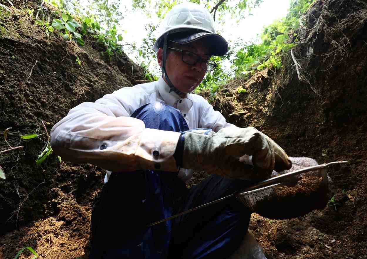 80 Years After Hiroshima Attack, Search Still On For Missing In Ninoshima