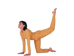 दिनभर कंप्यूटर के सामने बैठे रहने से हो रही कमर दर्द और पीठ की दिक्कत, तो इस योगासन को कर पाएं राहत