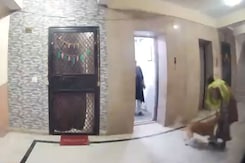 In Ghaziabad, Pet Dog Attacks Woman On Camera, Bites On Leg In Ghaziabad, Pet Dog Attacks Woman On Camera, Bites On Leg