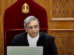 &#039;Made Me Famous Across World&#039;: Supreme Court Judge On Stray Dog Order