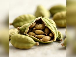 सुबह खाली पेट चबाकर खा लीजिए एक हरी इलायची, फिर देखिए इस छोटे से मसाले का कमाल, कई बीमारियों के लिए काल