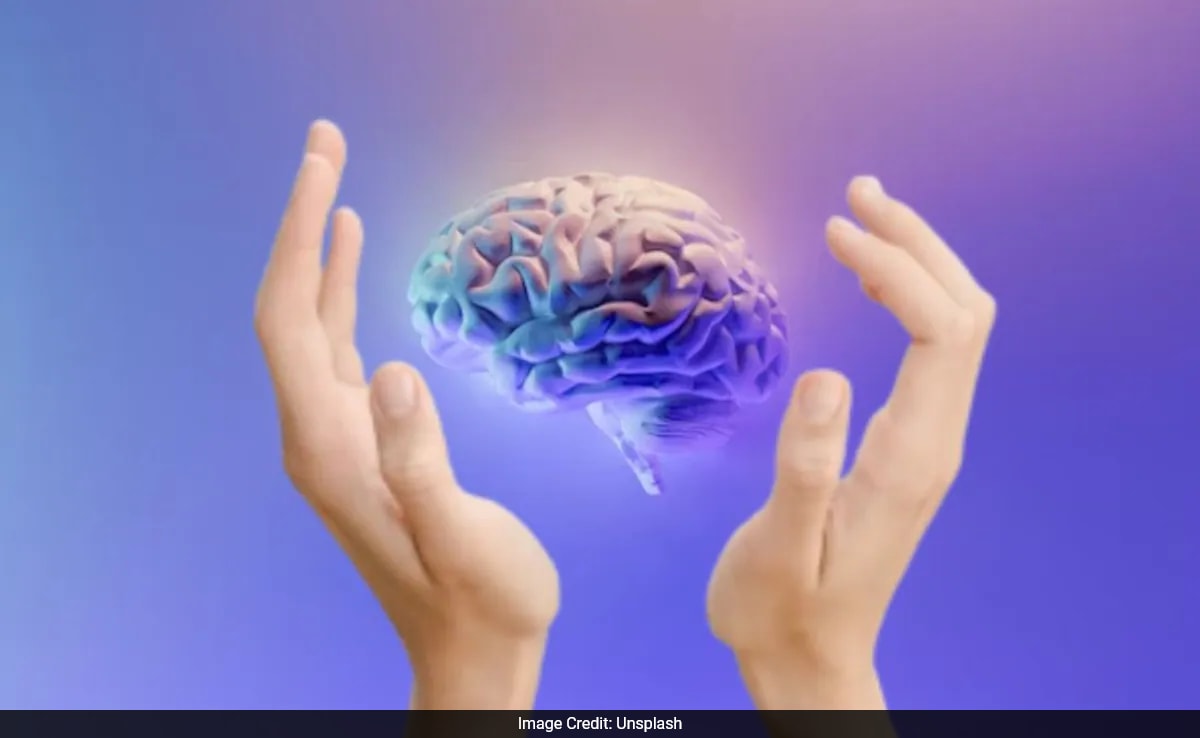 Мозъкът е жизненоважна част от нашето тяло Той контролира всичко