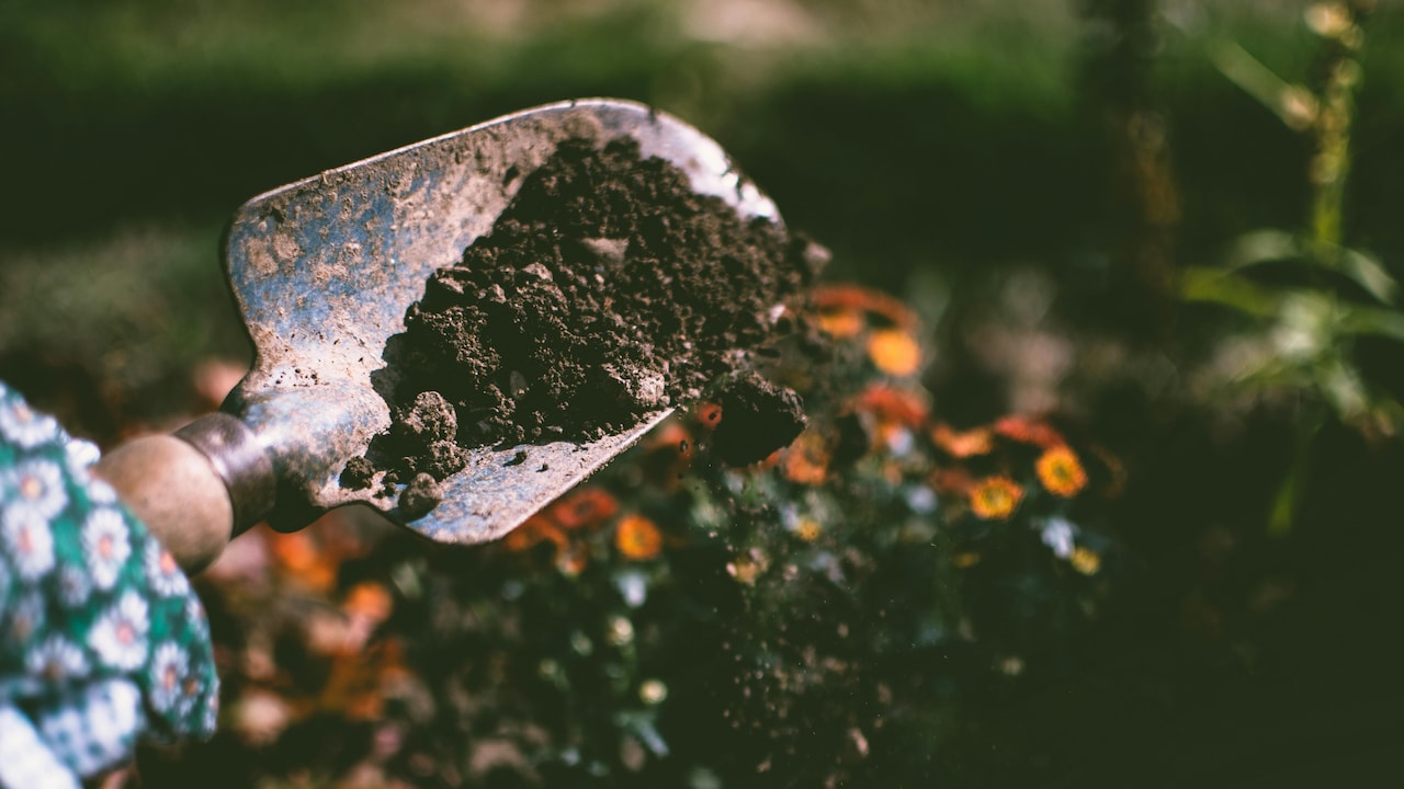 Start your garden today with these essential gardening tools