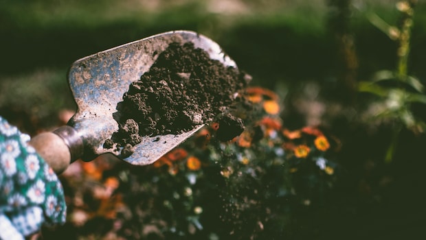 Start your garden today with these essential gardening tools Start your garden today with these essential gardening tools