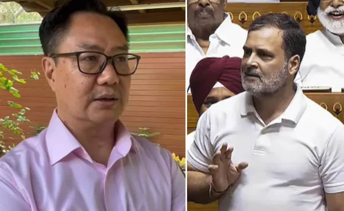 "Be Proud": Citing Musk, Kiren Rijiju Schools Rahul Gandhi On India Economy