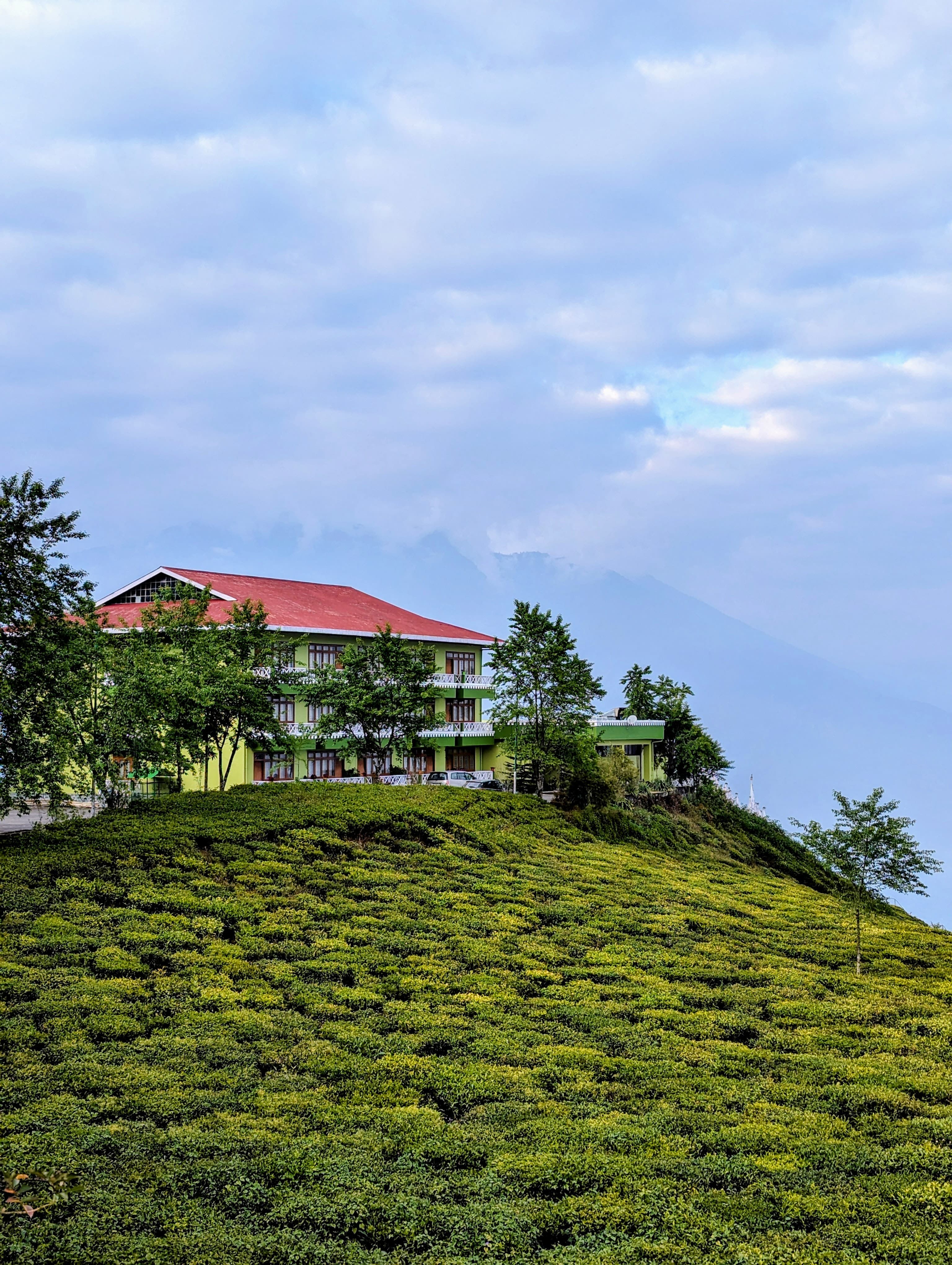 Cherry Resort. Photo: Ananya Bhattacharya Cherry Resort. Photo: Ananya Bhattacharya