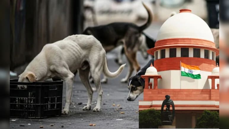 Stray Dog Verdict: '...तर 25 हजार ते 2 लाखांचा दंड', भटक्या कुत्र्यांबाबत सुप्रीम कोर्टाचा मोठा निर्णय!