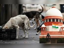 Stray Dog Verdict: '...तर 25 हजार ते 2 लाखांचा दंड', भटक्या कुत्र्यांबाबत सुप्रीम कोर्टाचा मोठा निर्णय! Stray Dog Verdict: '...तर 25 हजार ते 2 लाखांचा दंड', भटक्या कुत्र्यांबाबत सुप्रीम कोर्टाचा मोठा निर्णय!