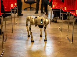 AI-Powered Robo Dogs Begin Food Delivery Trials In Zurich AI-Powered Robo Dogs Begin Food Delivery Trials In Zurich
