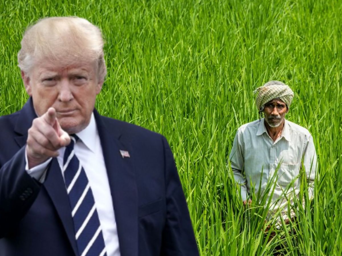 टैरिफ के पीछे क्या है... भारत को अनाज-डेयरी उत्पादों का डंपिंग ग्राउंड बनाने की फिराक में अमेरिका... किसानों क
