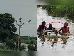 पेड़ पर फंसे थे 50 बंदर, चारों तरफ बाढ़ का पानी, ग्रामीणों ने ऐसे बचाया पेड़ पर फंसे थे 50 बंदर, चारों तरफ बाढ़ का पानी, ग्रामीणों ने ऐसे बचाया