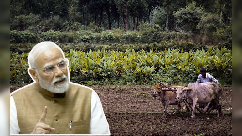 पीएम किसान योजना की 20वीं किस्त का इंतजार खत्म! खाते में इतने बजे आएंगे दो हजार रुपये पीएम किसान योजना की 20वीं किस्त का इंतजार खत्म! खाते में इतने बजे आएंगे दो हजार रुपये